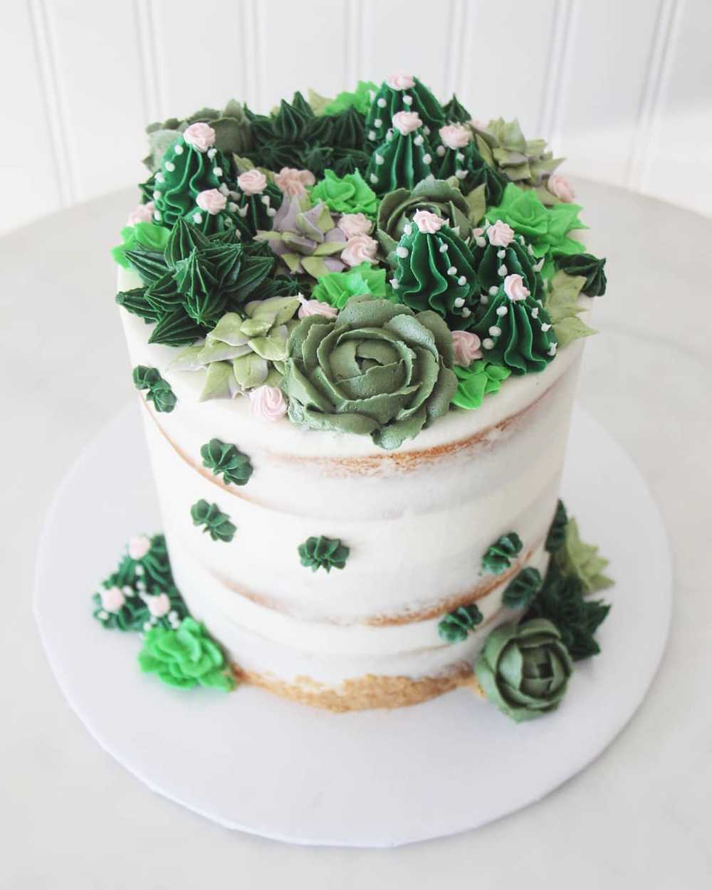 Succulent Naked Cake Butttercream Birthday Cactus 