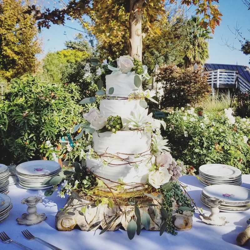 2018 garden vintage succulent greenery wedding cake (1)