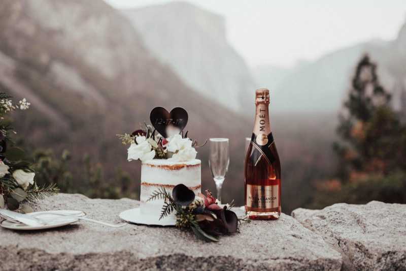 2018 yosemite naked wedding cake