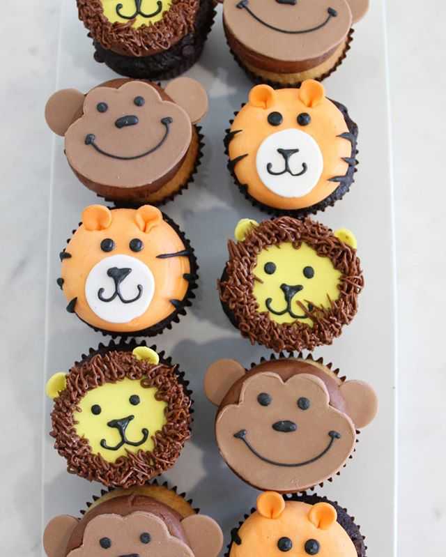 Animal Cupcakes Zoo Party Cake Jungle