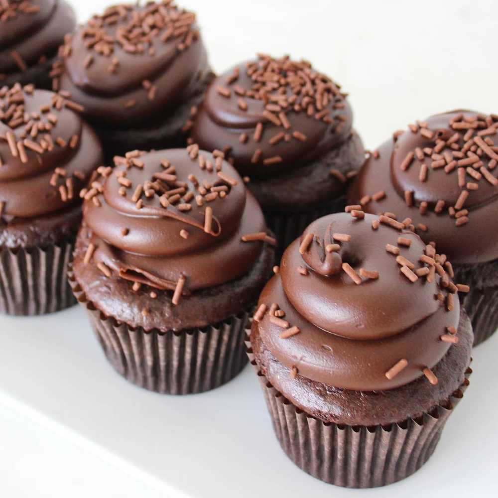 Chocolate Fudge Cupcake 