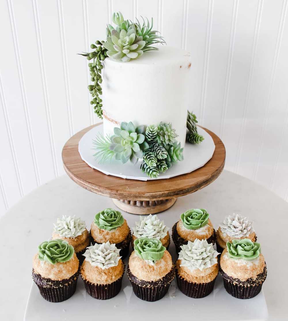 Succulent Cake Cupcakes Birthday Dessert Table