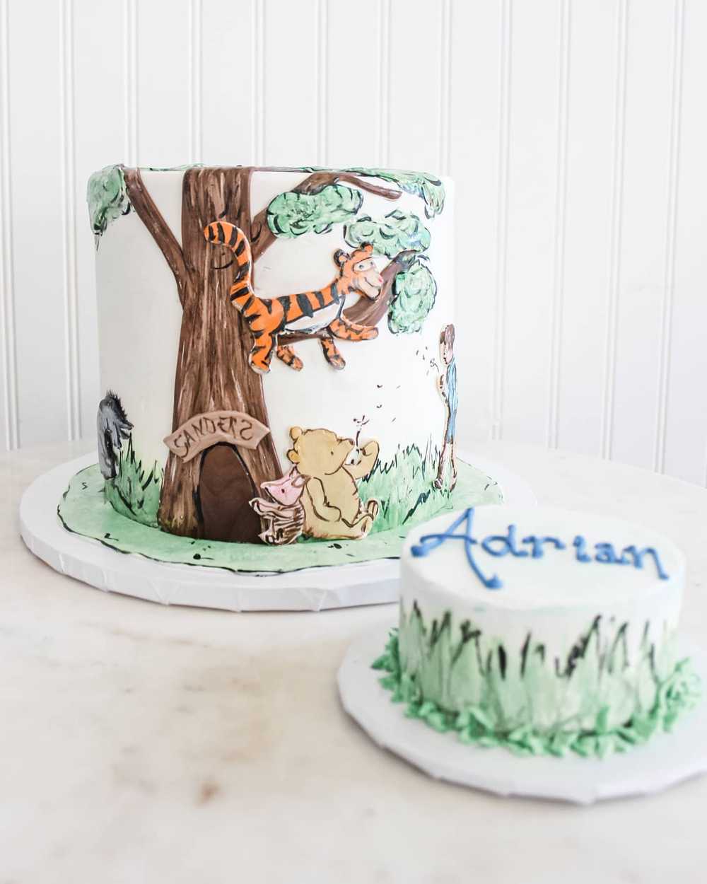 Winnie the Pooh Bear Painted Birthday Smash Cake