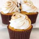 Lemon Meringue Pie Cupcake