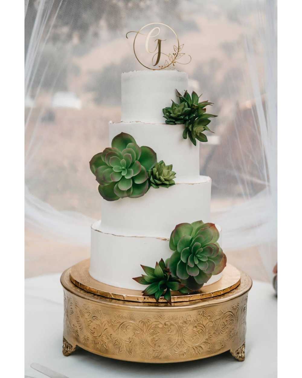 Succulent Buttercream Wedding Cake Princess 