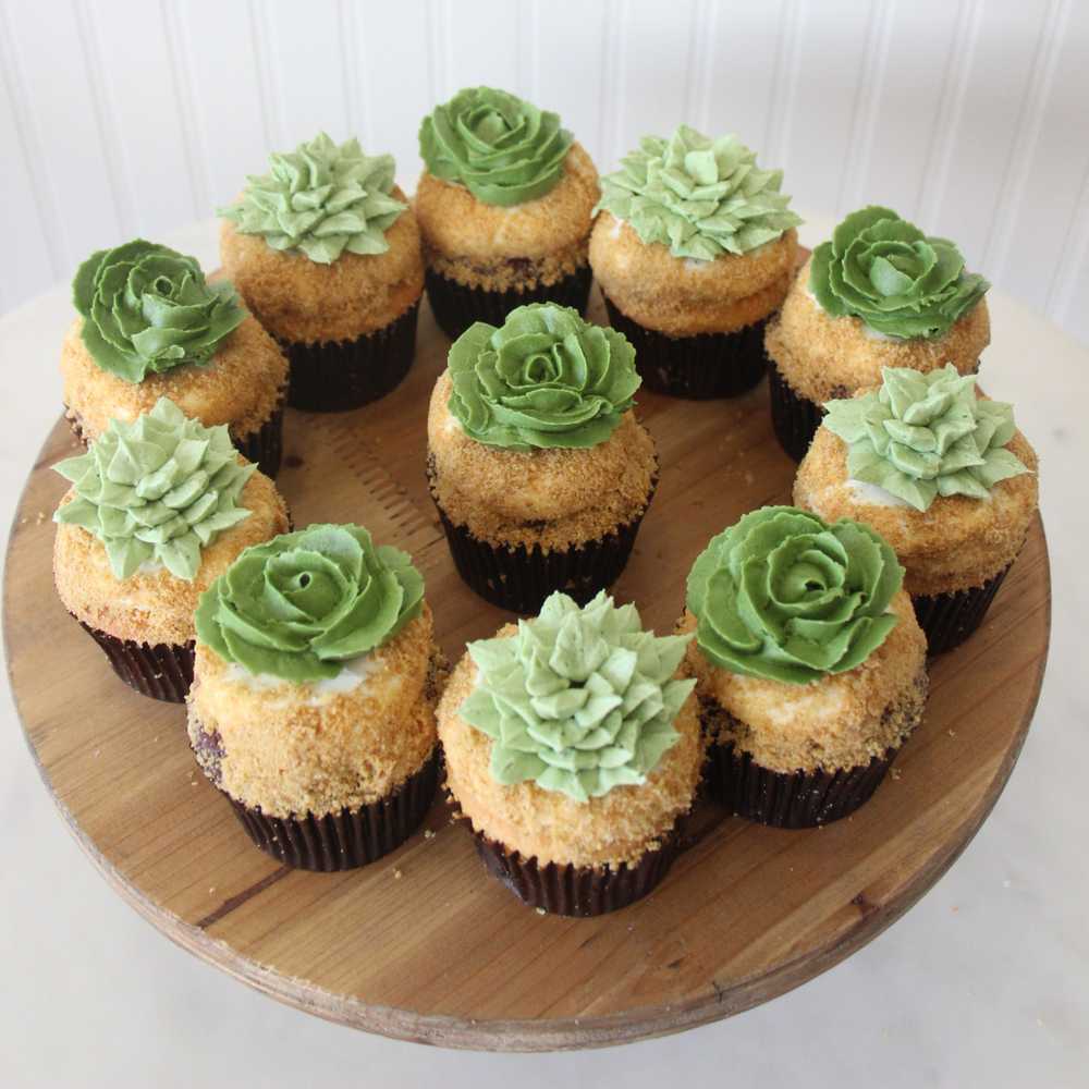 Succulent Cupcakes 